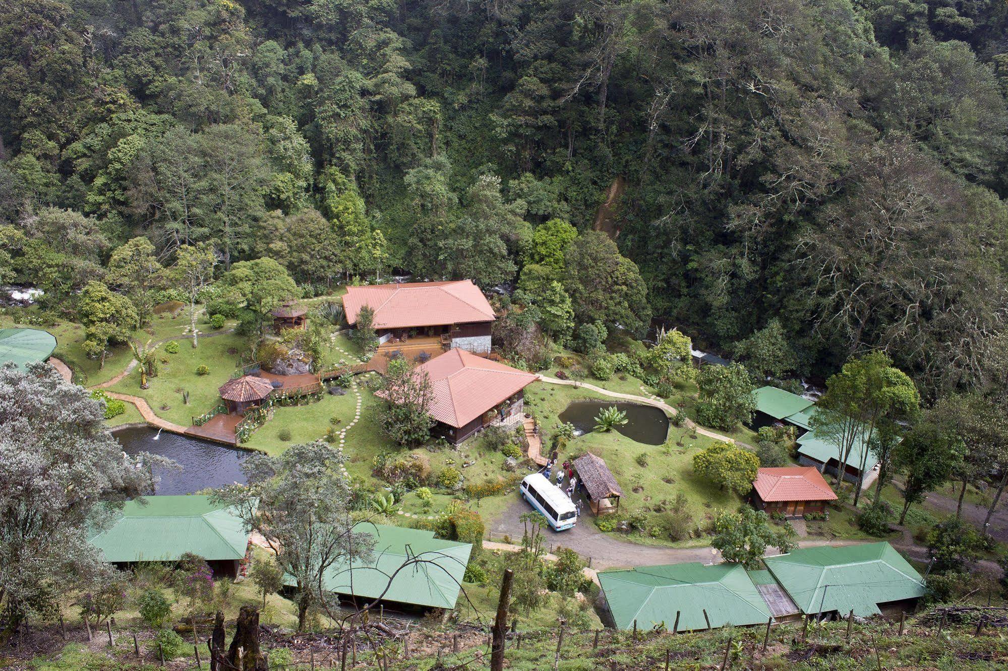 Trogon Lodge San Gerardo de Dota Eksteriør billede