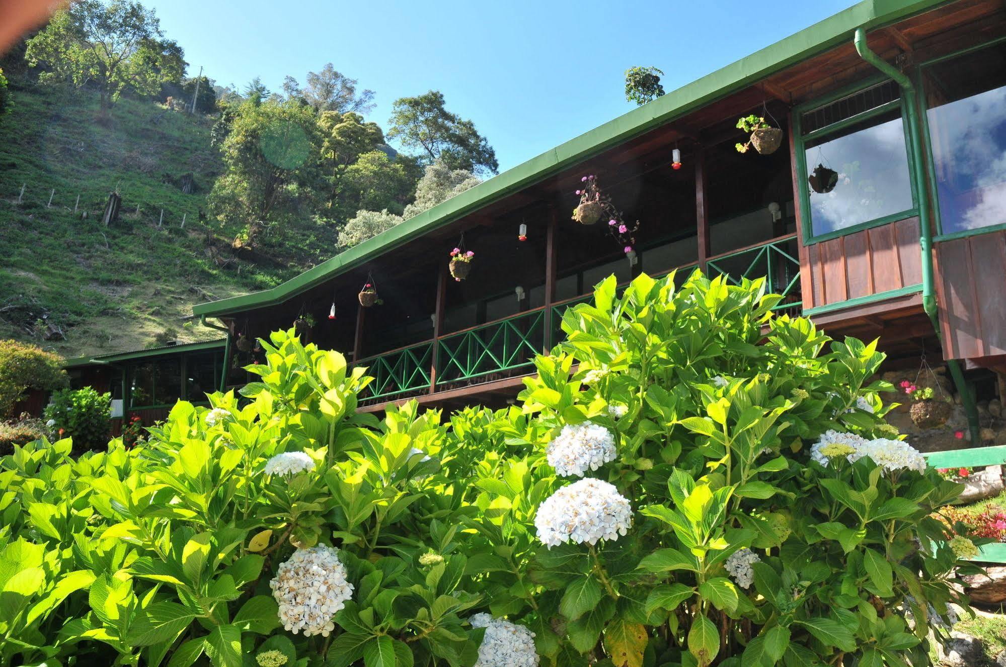 Trogon Lodge San Gerardo de Dota Eksteriør billede